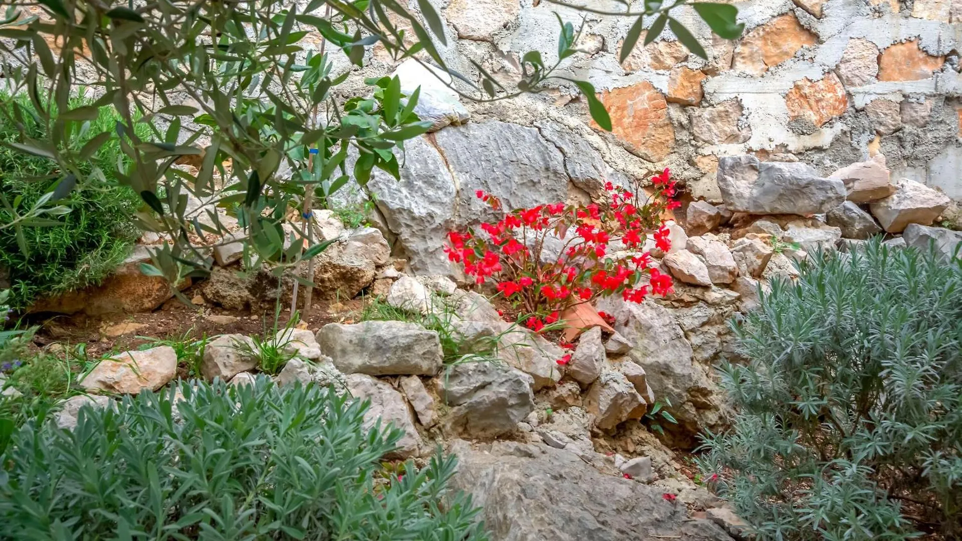 Apartment Mladen دراغ